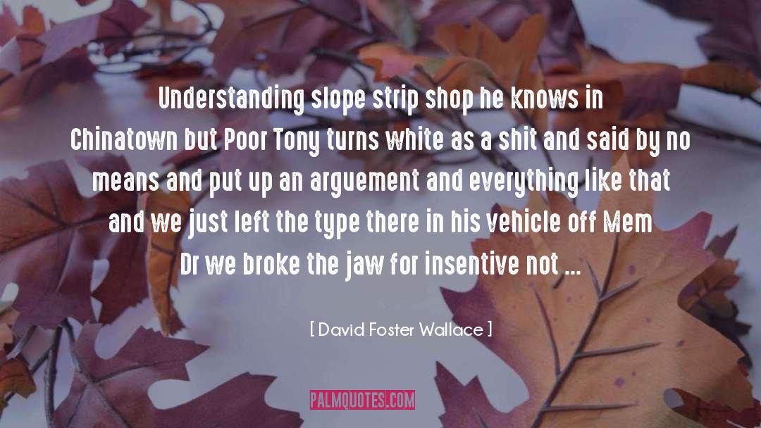 Dr Tony Mann quotes by David Foster Wallace