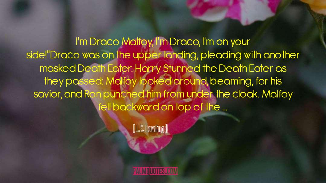 Draco Malfoy quotes by J.K. Rowling