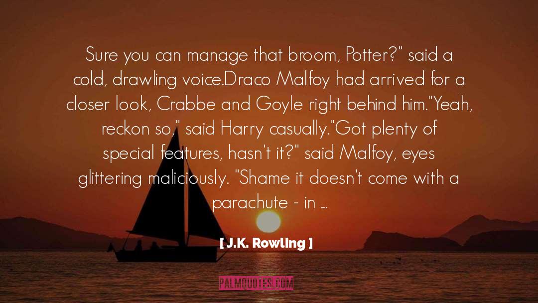 Draco Malfoy quotes by J.K. Rowling