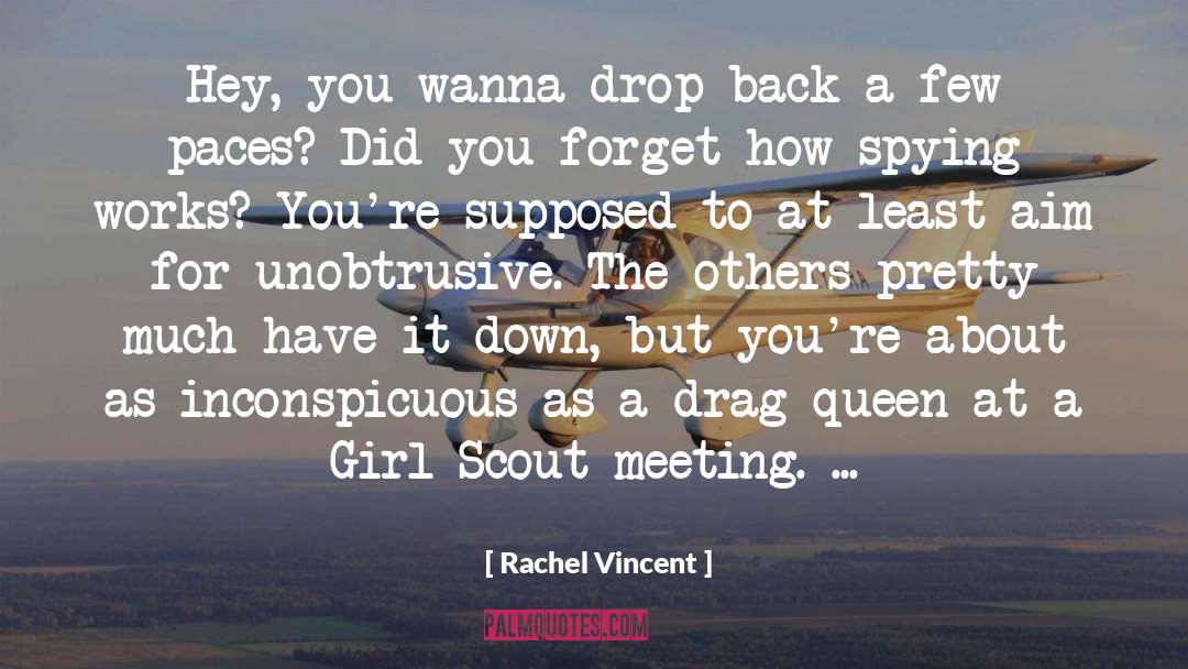 Drag Queen quotes by Rachel Vincent