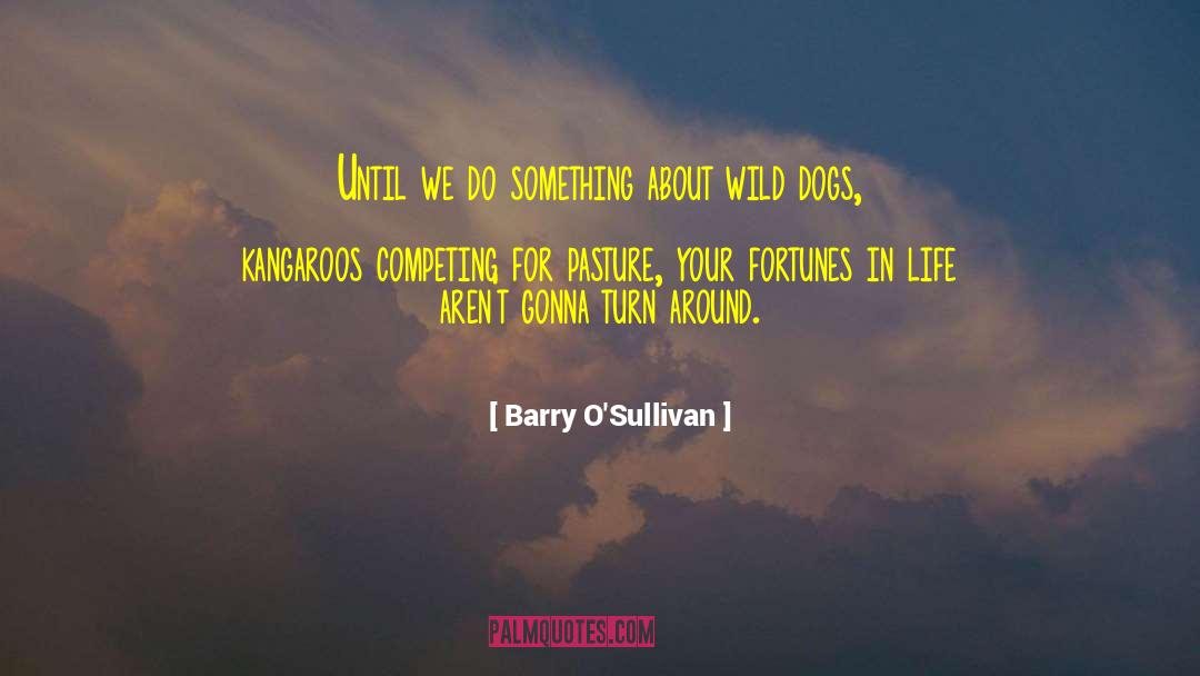 Dragon Dog quotes by Barry O'Sullivan