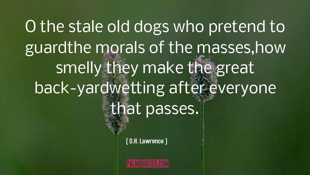 Dragon Dogs quotes by D.H. Lawrence