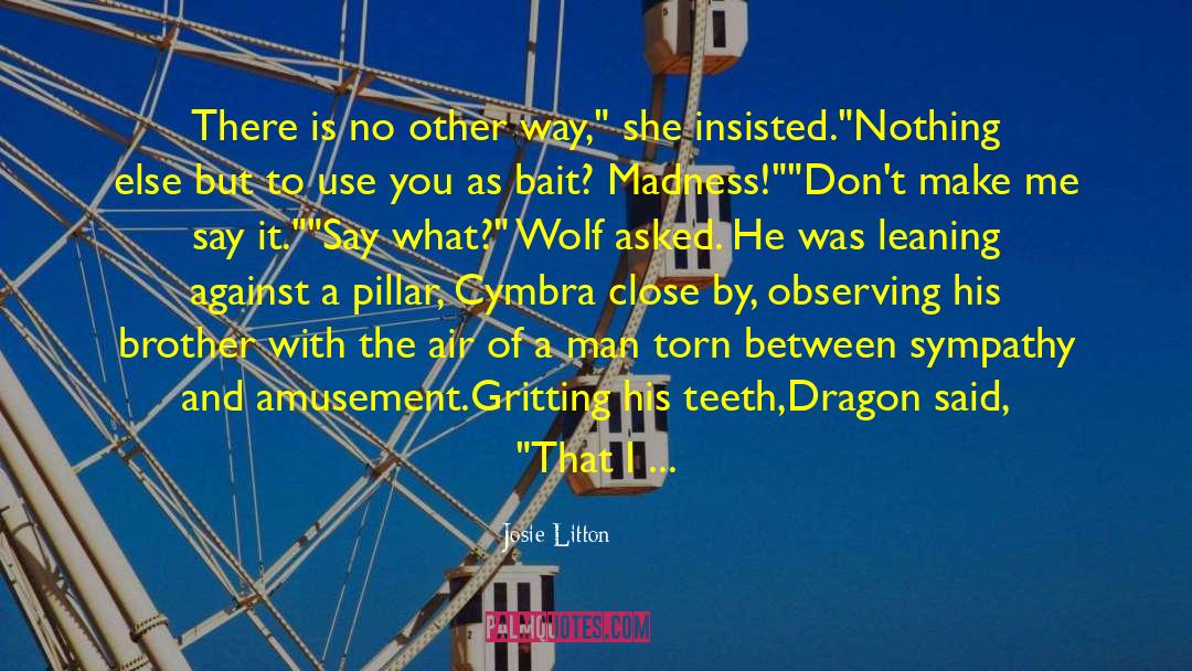 Dragon Gandalf quotes by Josie Litton