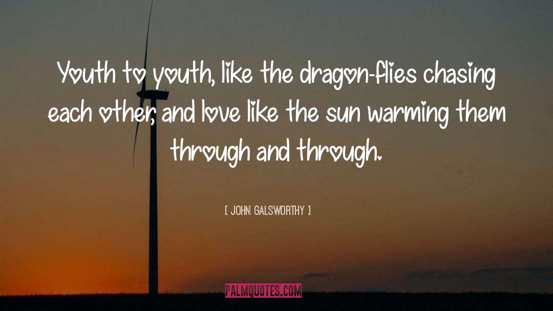 Dragon Hunting quotes by John Galsworthy