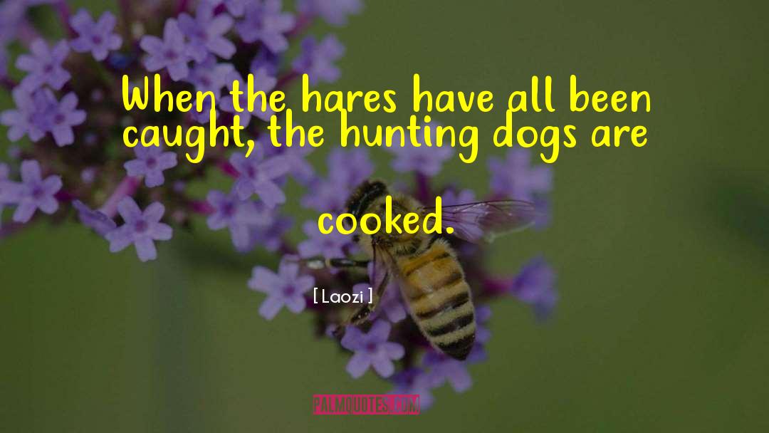 Dragon Hunting quotes by Laozi