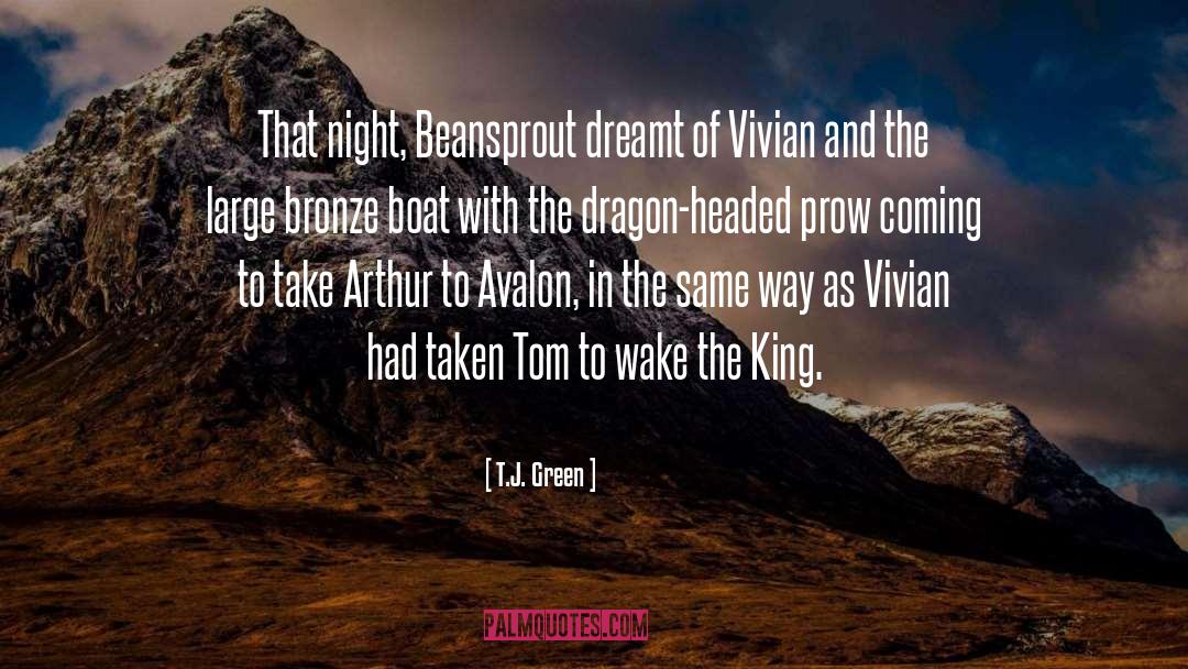 Dragon King Trilogy quotes by T.J. Green