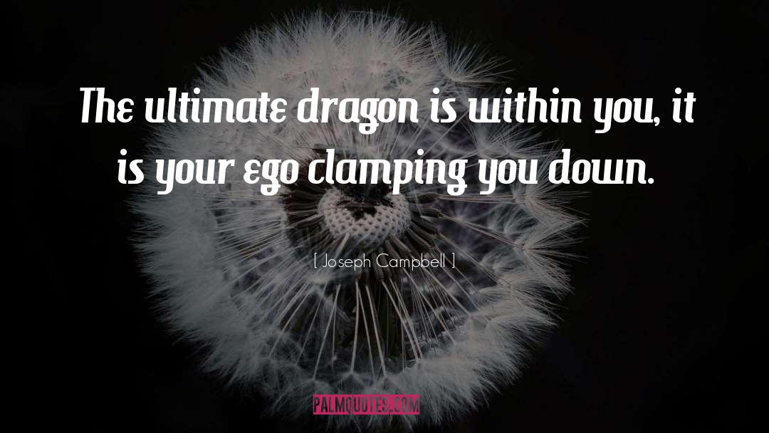 Dragon quotes by Joseph Campbell