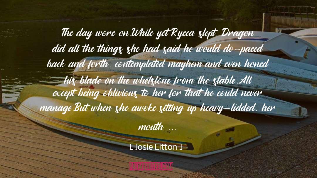 Dragon Rider quotes by Josie Litton