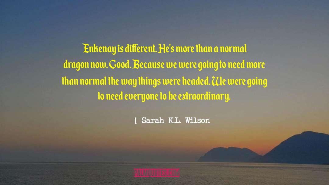 Dragon Riders quotes by Sarah K.L. Wilson