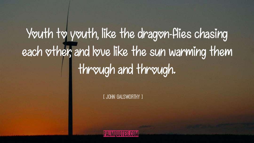 Dragon Slayer quotes by John Galsworthy