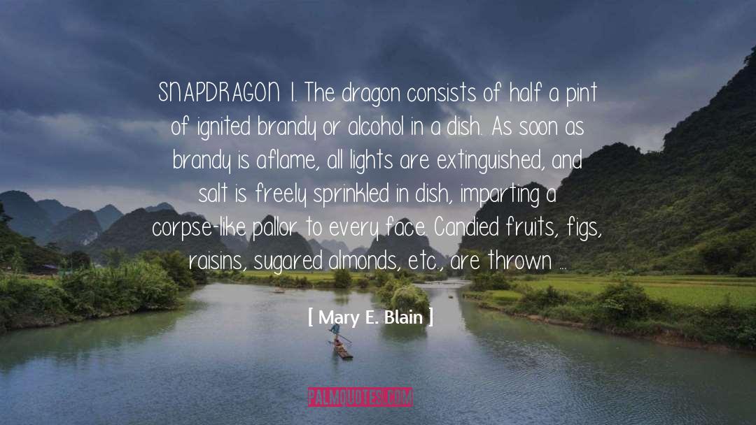 Dragon Slayers quotes by Mary E. Blain