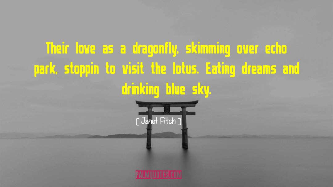 Dragonflies quotes by Janet Fitch