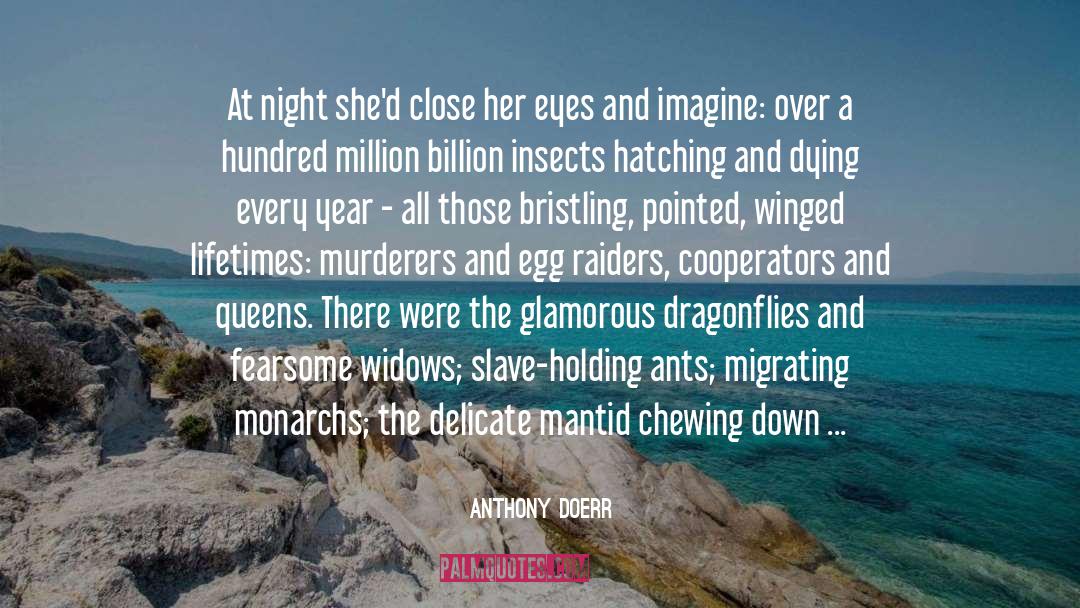 Dragonflies quotes by Anthony Doerr