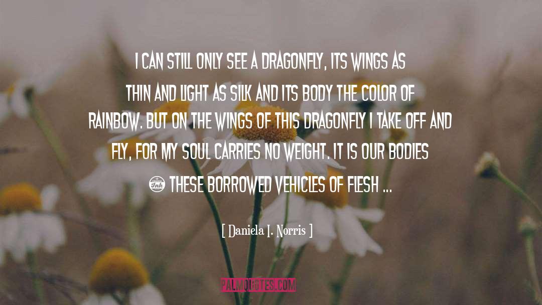 Dragonfly quotes by Daniela I. Norris