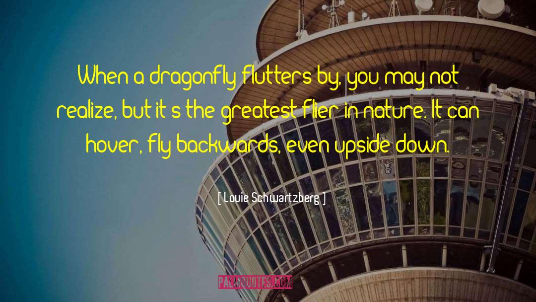 Dragonfly quotes by Louie Schwartzberg