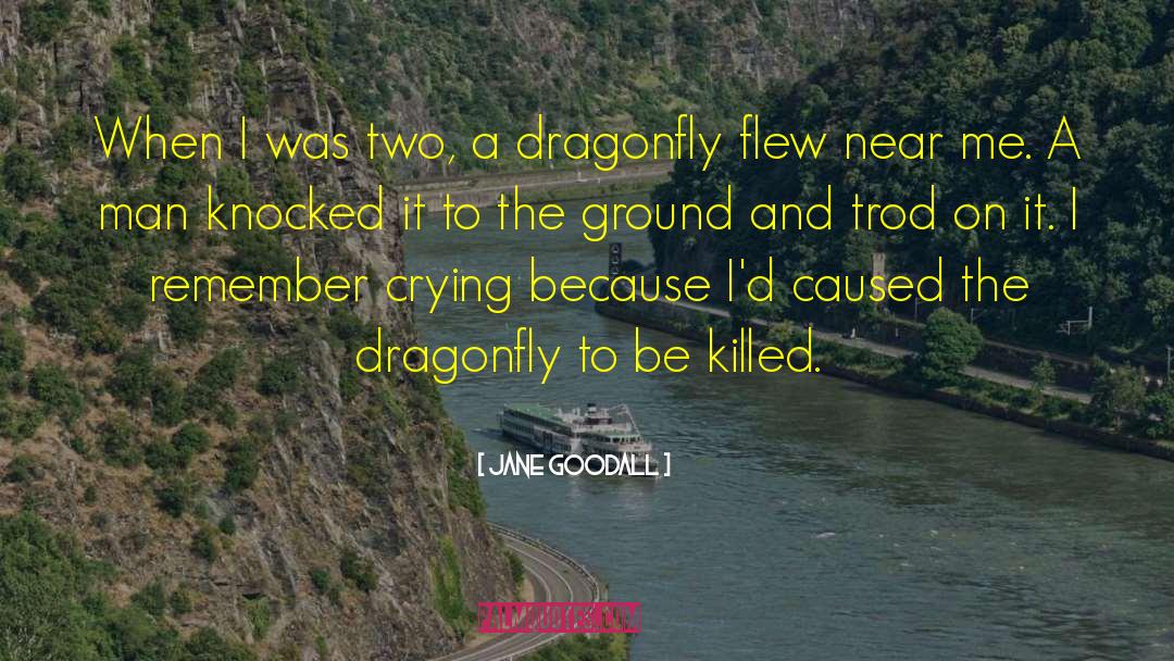 Dragonfly quotes by Jane Goodall