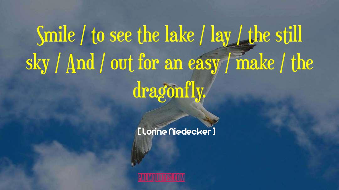 Dragonfly quotes by Lorine Niedecker