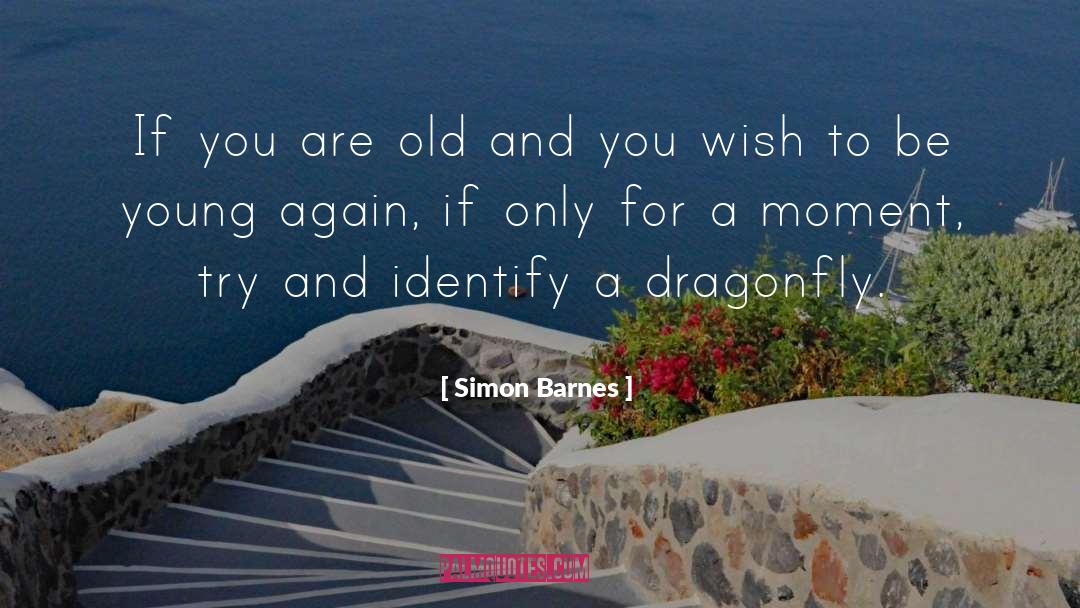 Dragonfly quotes by Simon Barnes