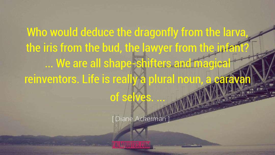 Dragonfly quotes by Diane Ackerman