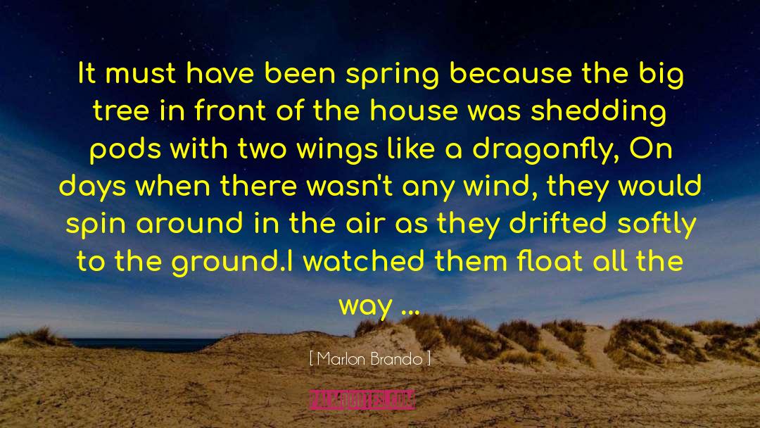 Dragonfly quotes by Marlon Brando