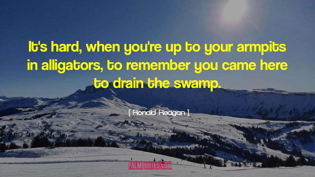 Drain The Swamp quotes by Ronald Reagan