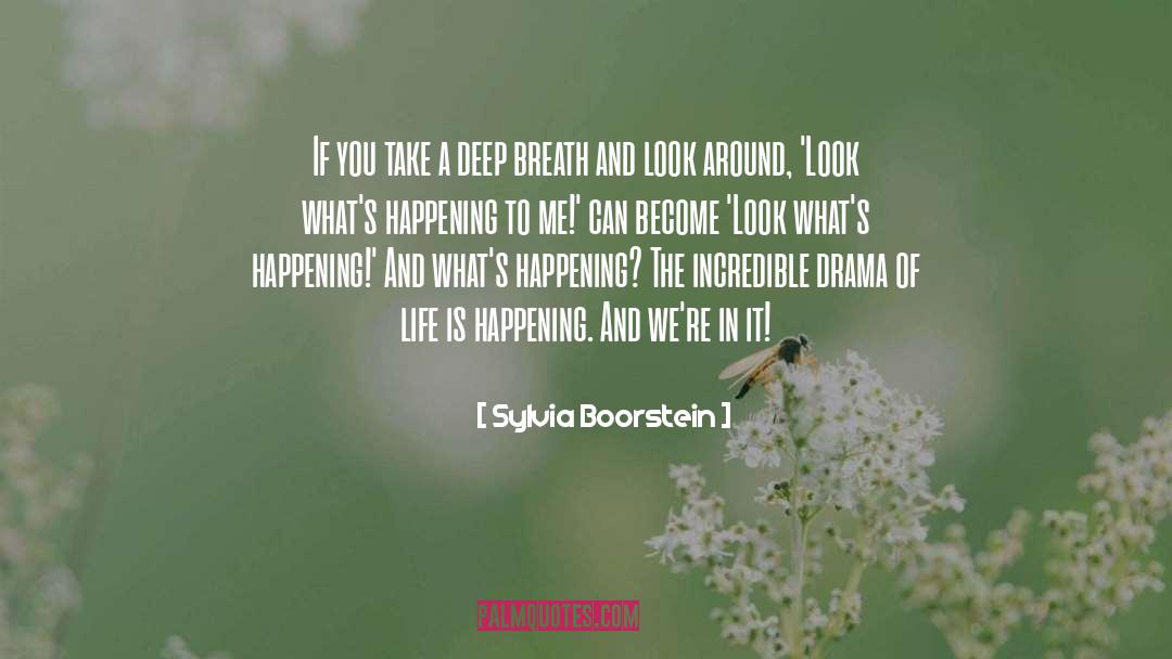 Drama Of Life quotes by Sylvia Boorstein