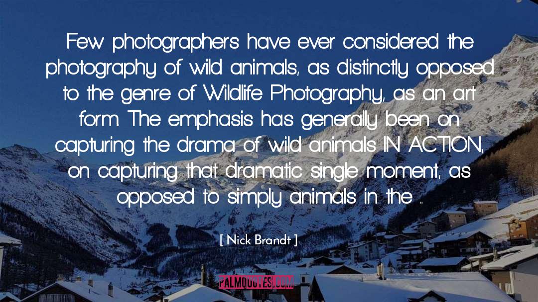 Dramatic Irony quotes by Nick Brandt