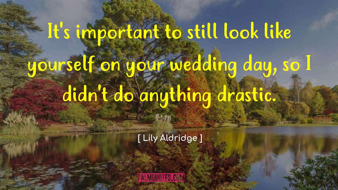 Drastic quotes by Lily Aldridge
