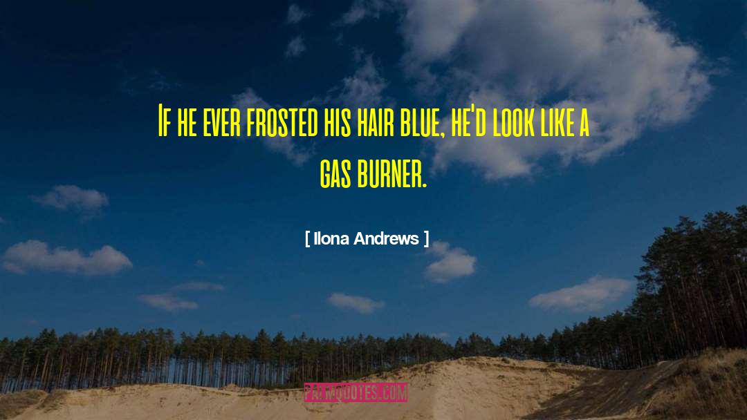 Draught Burner quotes by Ilona Andrews