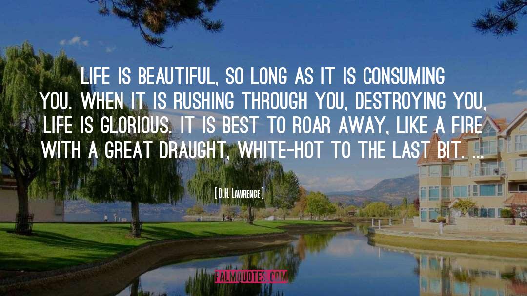 Draught quotes by D.H. Lawrence