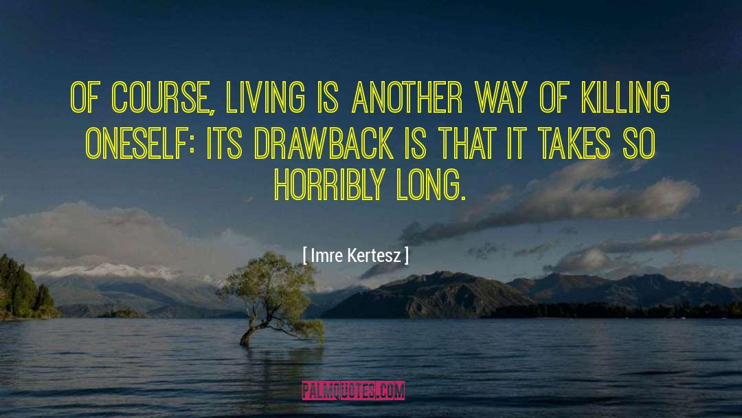 Drawback quotes by Imre Kertesz