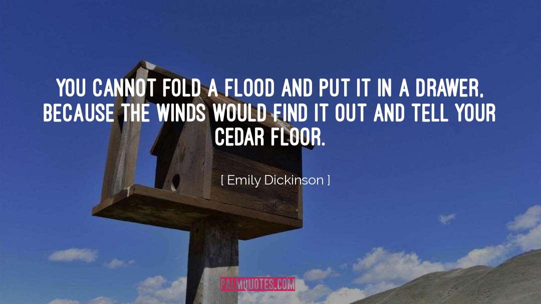 Drawer quotes by Emily Dickinson