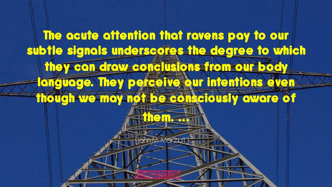 Drawing Conclusions quotes by John M. Marzluff
