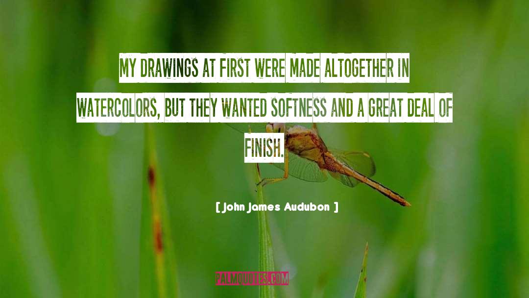 Drawings quotes by John James Audubon