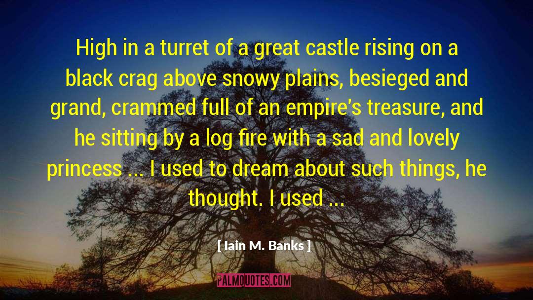 Dream About Spring quotes by Iain M. Banks