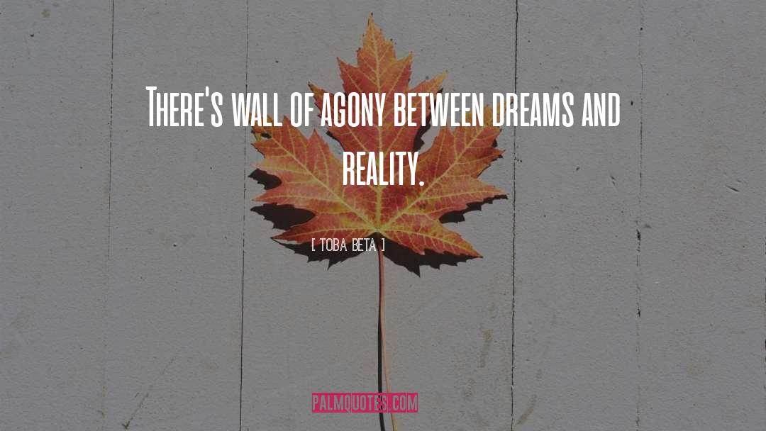 Dream And Reality quotes by Toba Beta