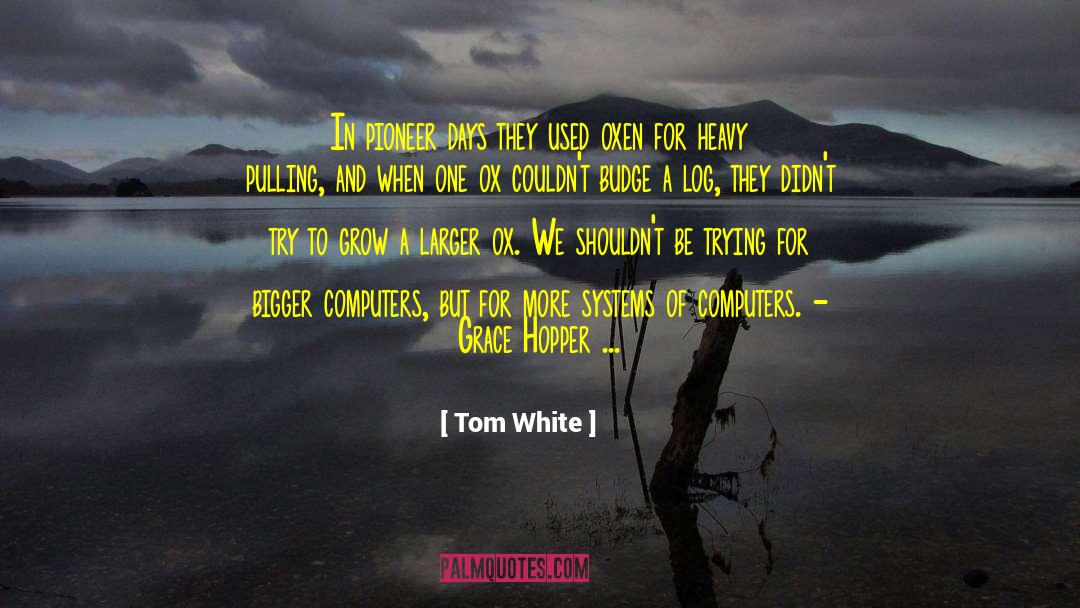 Dream Bigger quotes by Tom White