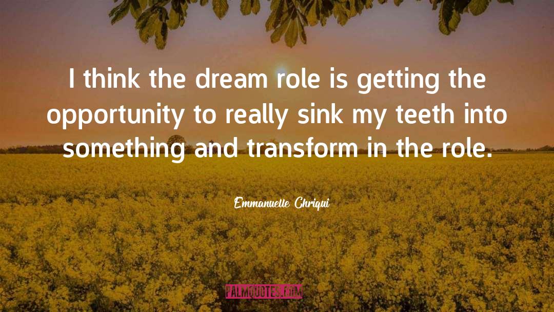 Dream Catcher quotes by Emmanuelle Chriqui