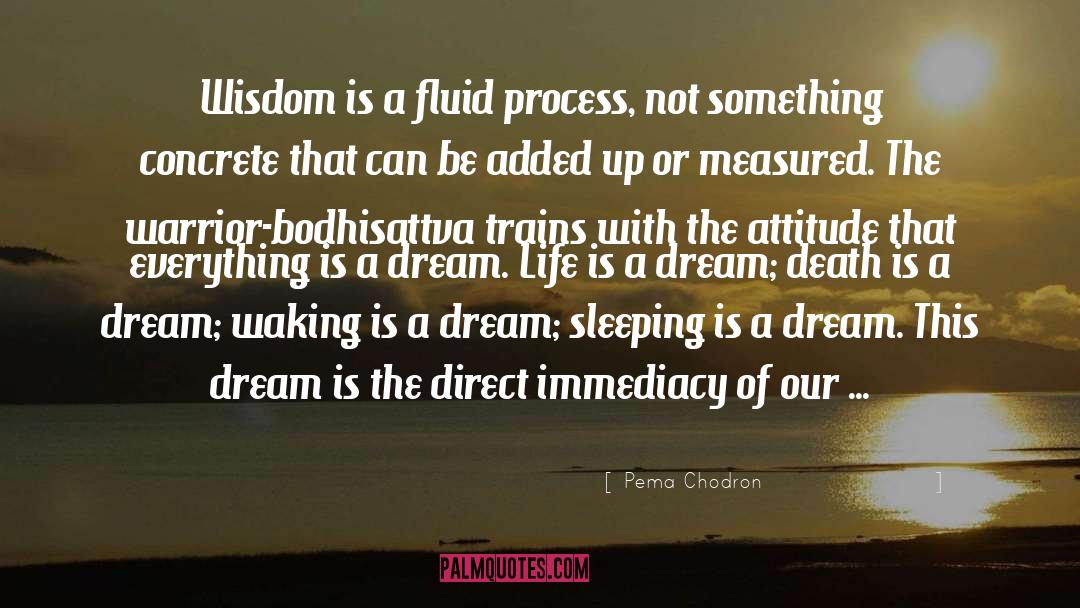 Dream Death quotes by Pema Chodron