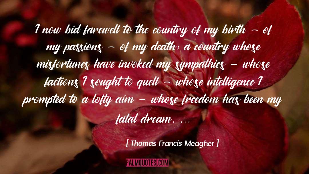 Dream Death quotes by Thomas Francis Meagher