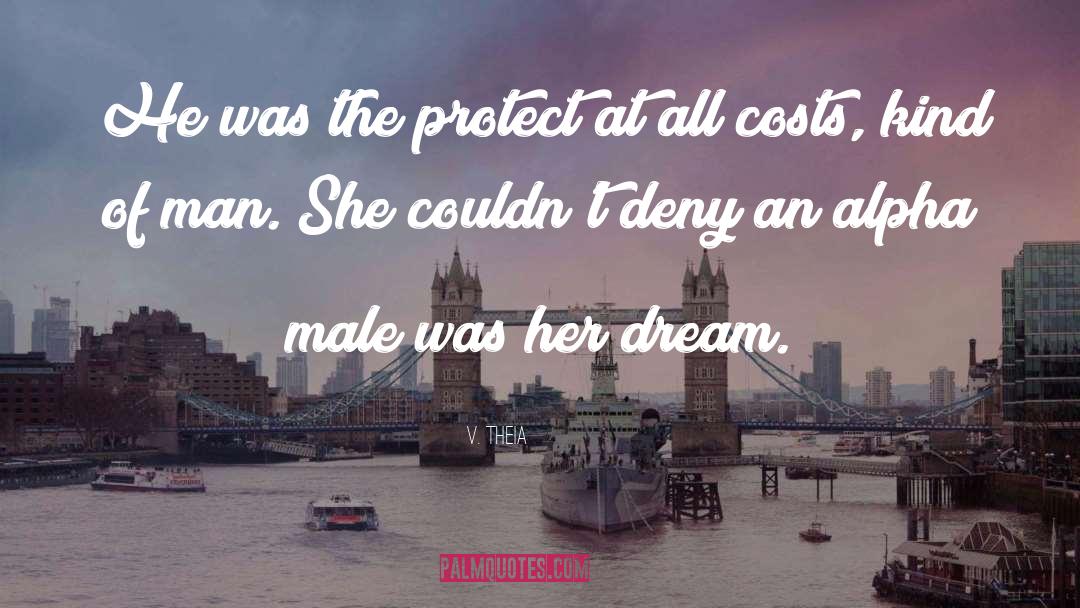 Dream Guy quotes by V. Theia