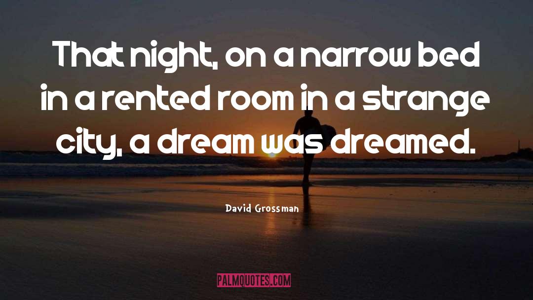 Dream Imagery quotes by David Grossman