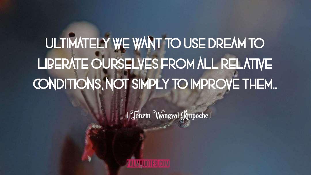 Dream Inspirational quotes by Tenzin Wangyal Rinpoche