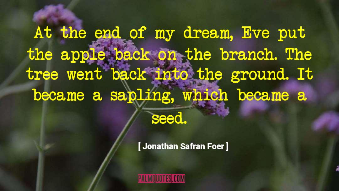Dream Into A Reality quotes by Jonathan Safran Foer