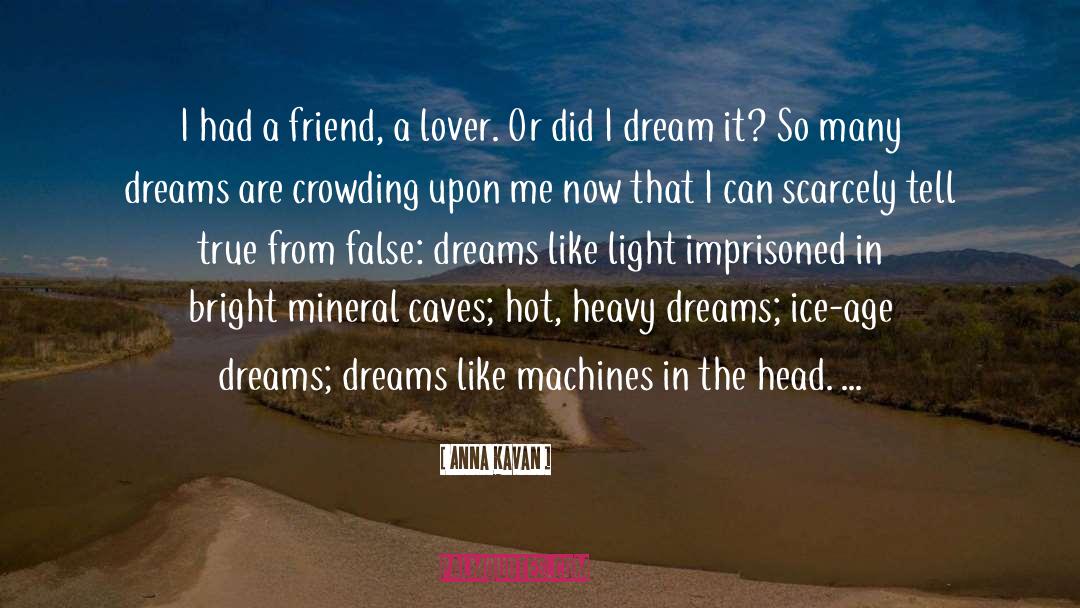 Dream It quotes by Anna Kavan