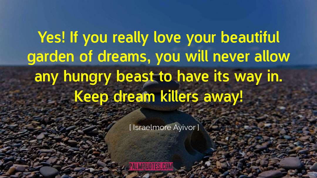 Dream Killers quotes by Israelmore Ayivor