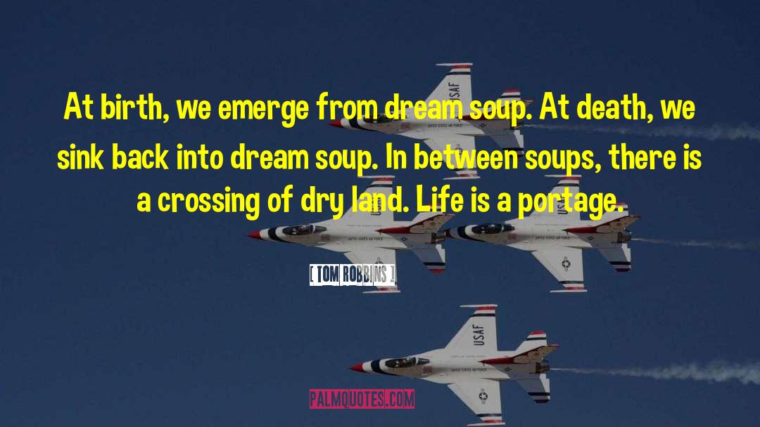 Dream Land quotes by Tom Robbins