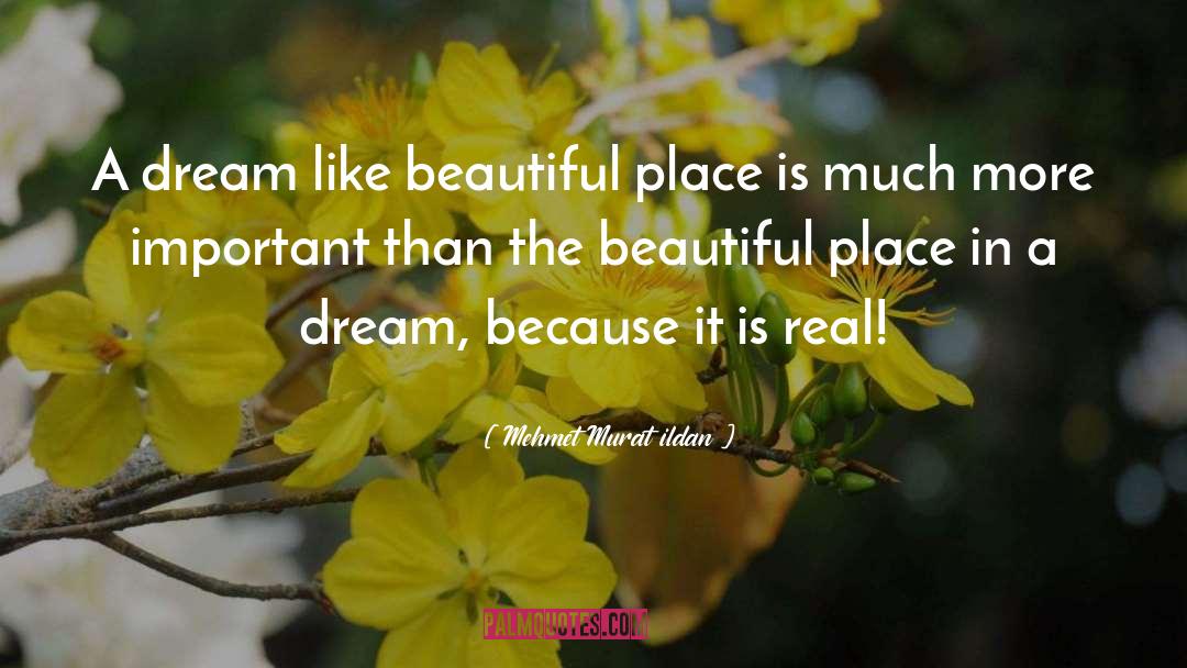 Dream Like quotes by Mehmet Murat Ildan