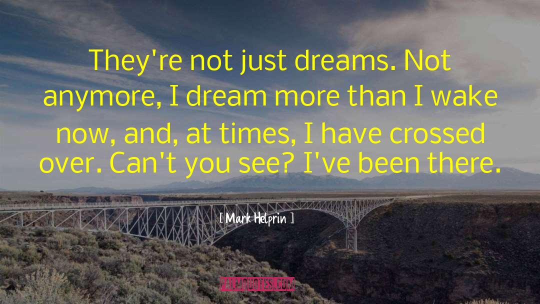 Dream More quotes by Mark Helprin