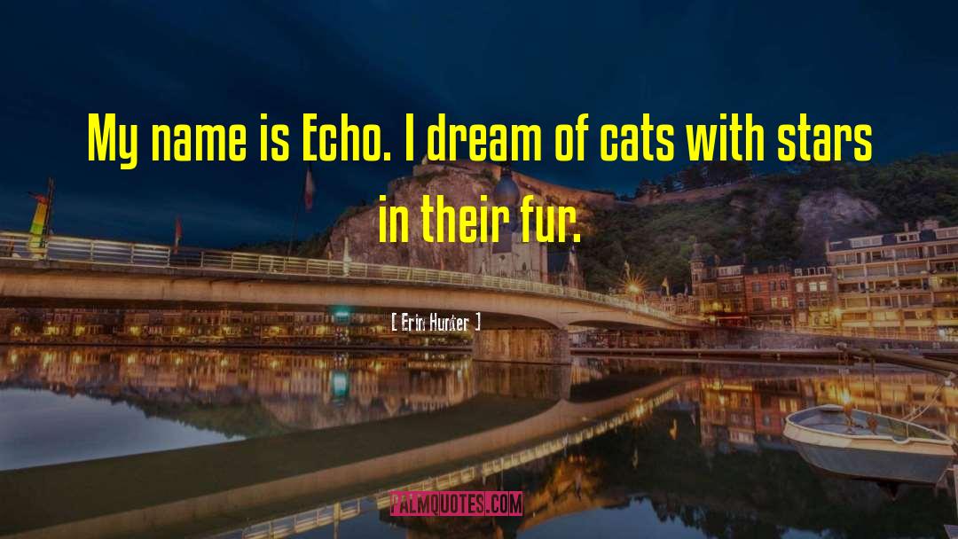 Dream Of Flying quotes by Erin Hunter